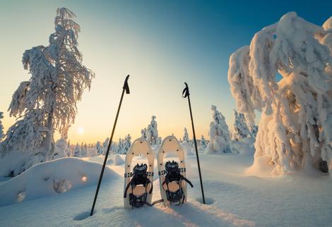 Schneeschuhwanderung