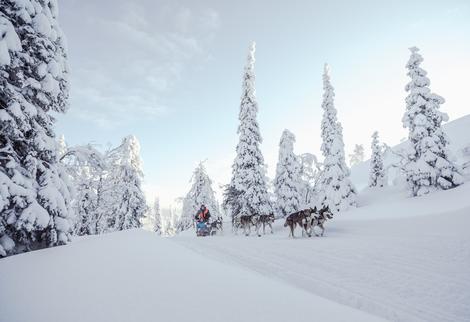 Reise Hauptbild