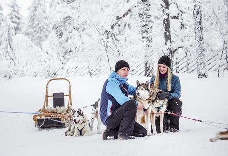 Schlittenhunde bei Pyhä