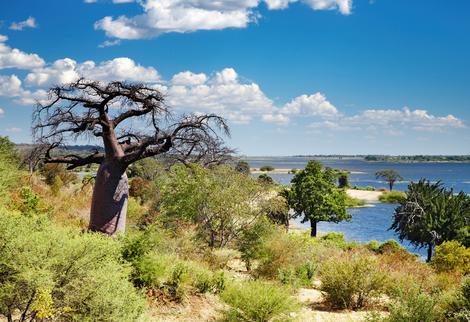 Chobe Nationalpark ind Botswana