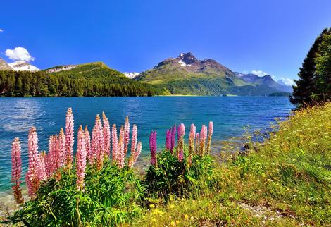 Engadin im Frühling