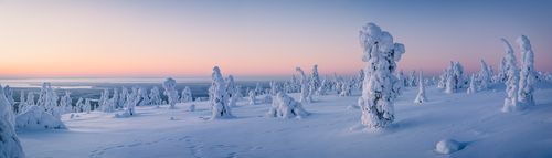 Erlebnisreise Lappland