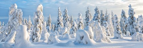 Erlebnisreise Lappland