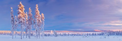 Erlebnisreise Lappland