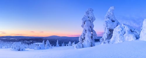 Erlebnisreise Lappland