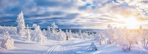 Erlebnisreise Lappland