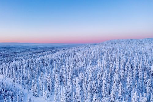 Spitzenhotel im Winterwunderland