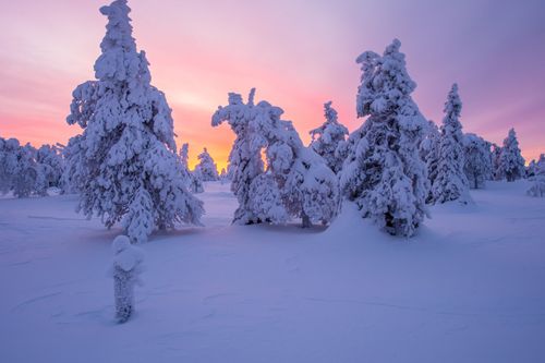 Spitzenhotel im Winterwunderland