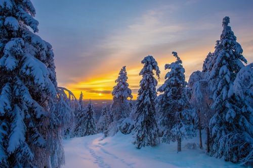 Spitzenhotel im Winterwunderland