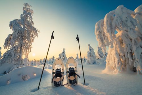 Winterparadies am Syöte-Nationalpark
