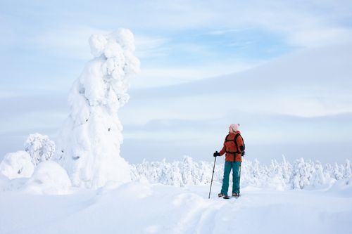 Winterspaß am Pyhätunturi – Trendziel