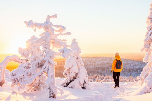 Naturparadies Iso-Syöte