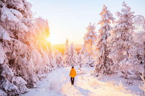 Naturparadies Iso-Syöte