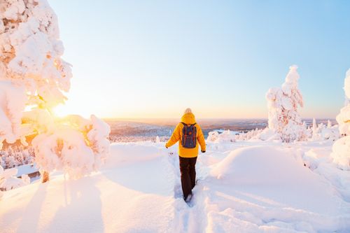 Naturparadies Iso-Syöte