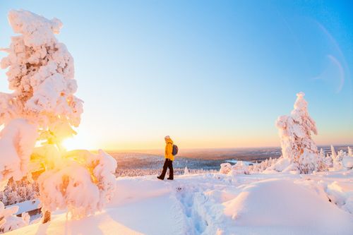 Naturparadies Iso-Syöte