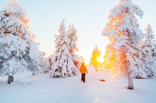 Naturparadies Iso-Syöte
