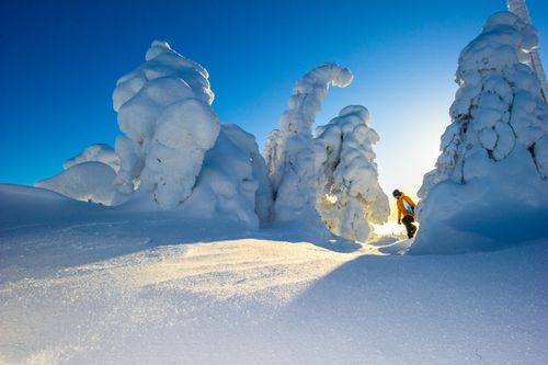 Winterparadies am Syöte-Nationalpark