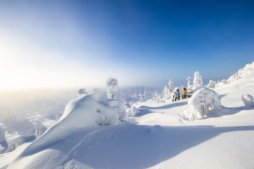 Winterparadies am Syöte-Nationalpark