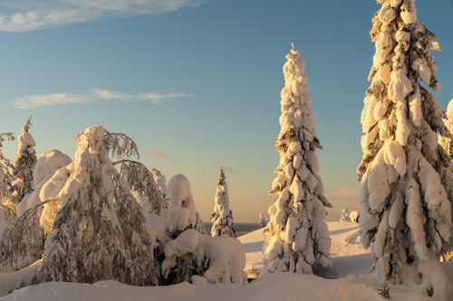 Panoramahotel im Winterwunderland