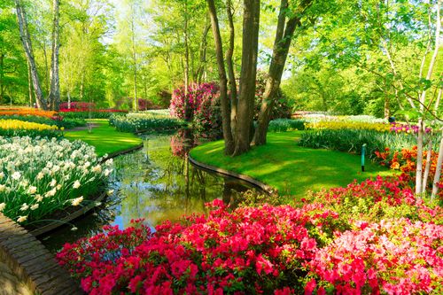 Hollands Tulpenblüte: Keukenhof, Kinderdijk und Handwerkskunst