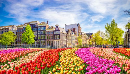 Frühling in voller Blüte: Keukenhof, Amsterdam und Handwerkskunst