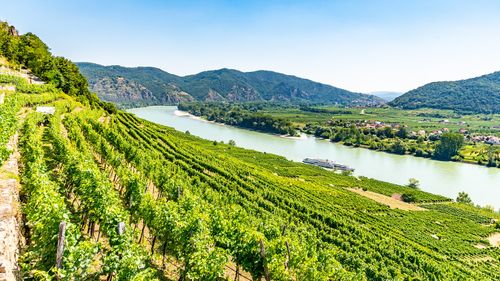 Donau-Kreuzfahrt mit MS ARIANA: Wachau, Budapest und Wien auf der MS ARIANA erleben