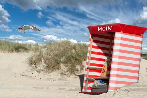 Inselhüpfen Nordsee: Norderney, Langeoog & Spiekeroog