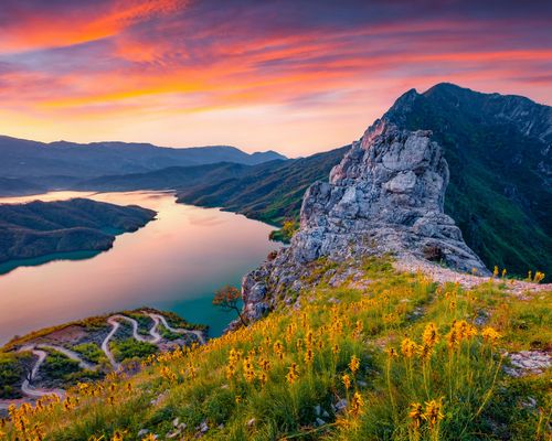 vianova Reisesommer 2026