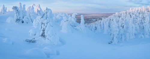 Winterspaß in Lappland