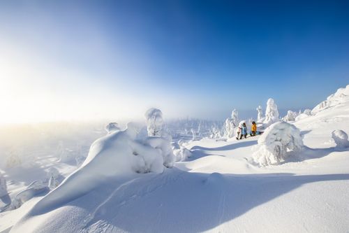 Winterparadies am Syöte-Nationalpark