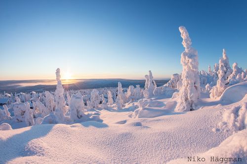 Winterparadies am Syöte-Nationalpark