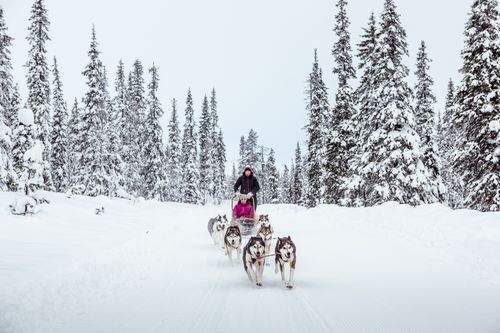 Outdoor-Urlaub am Nationalpark