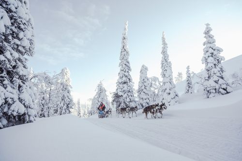 Outdoor-Urlaub am Nationalpark