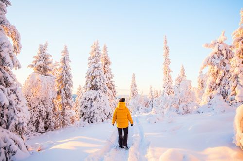 Naturparadies Iso-Syöte