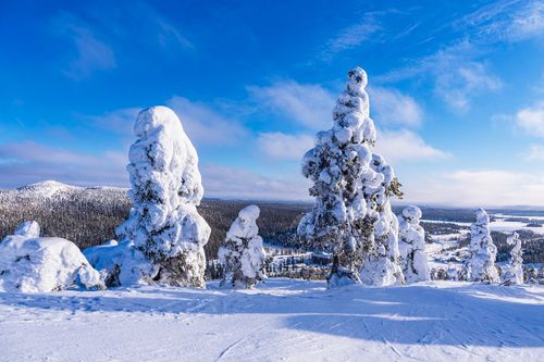 Wintererlebnis in Ruka