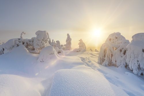 Spitzenhotel im Winterwunderland