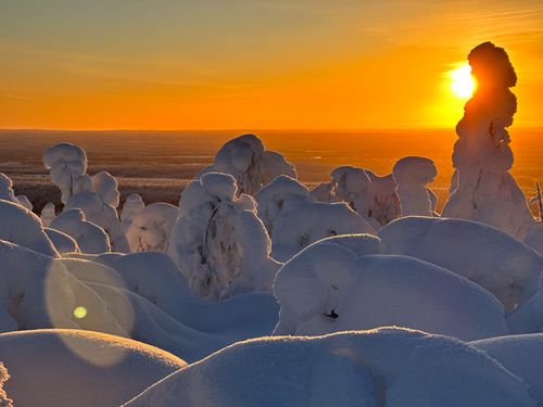 Großes Erlebnispaket Winter in Lappland - alles inklusive