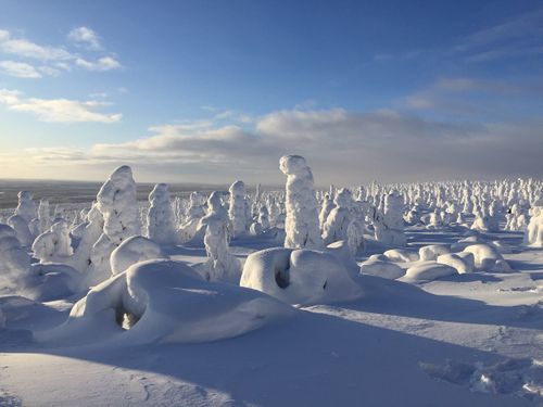 Großes Erlebnispaket Winter in Lappland - alles inklusive