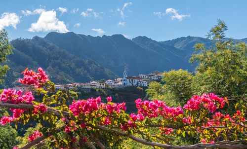Blumenfest auf Madeira
