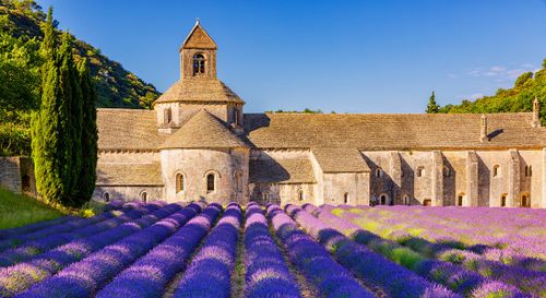 Zauberhafte Provence